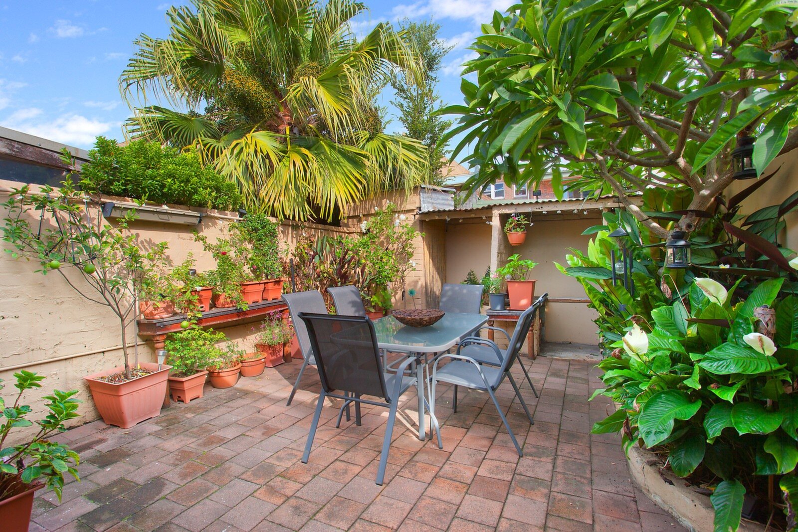 206 Albion Street, Annandale - Thumbnail 8