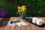 185 Johnston Street, Annandale - Thumbnail 7