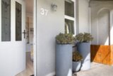 37 Junior Street, Leichhardt - Thumbnail 5