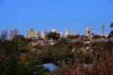 53 Starling Street, Lilyfield - Thumbnail 3