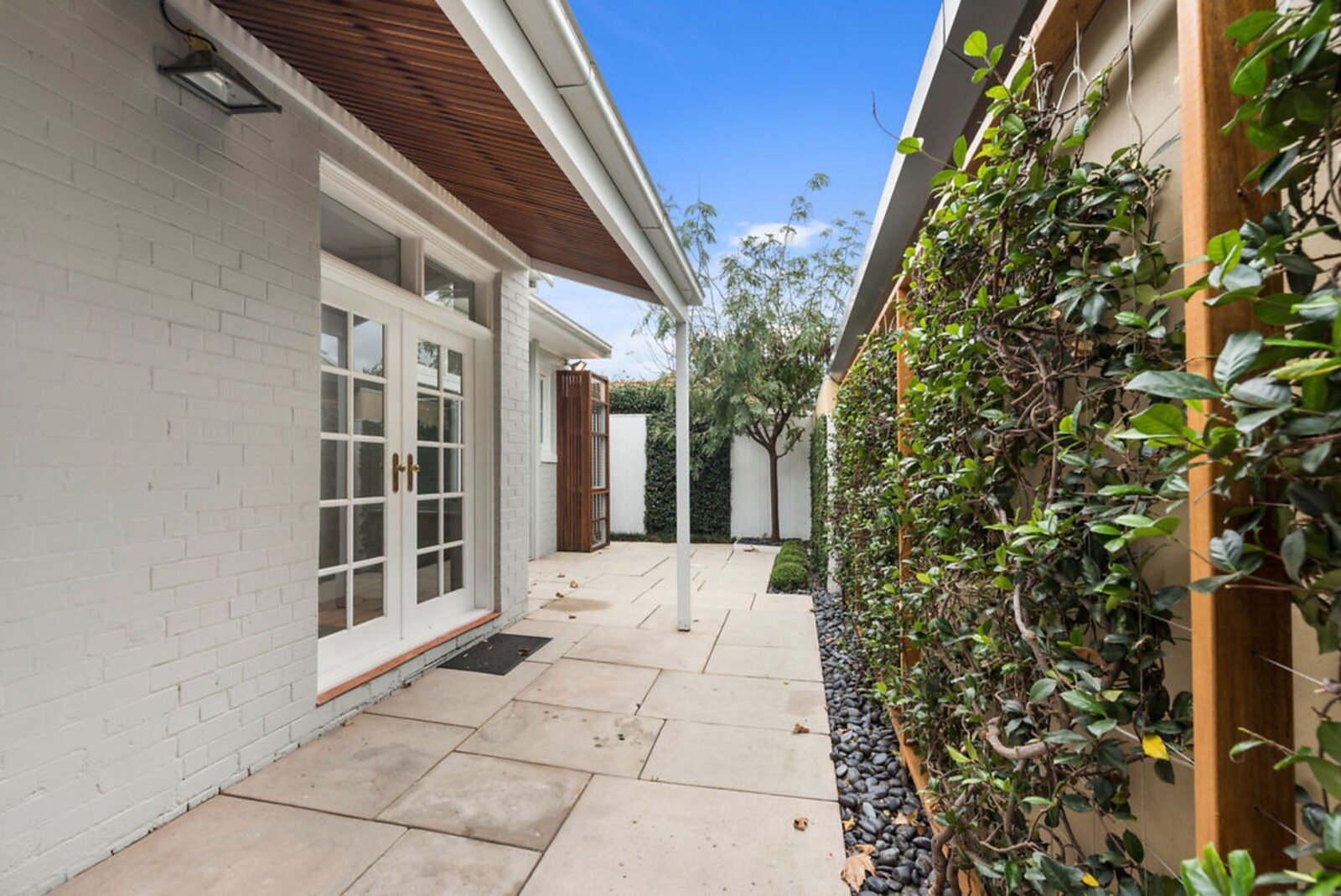 222 Trafalgar Street, Annandale - Thumbnail 6