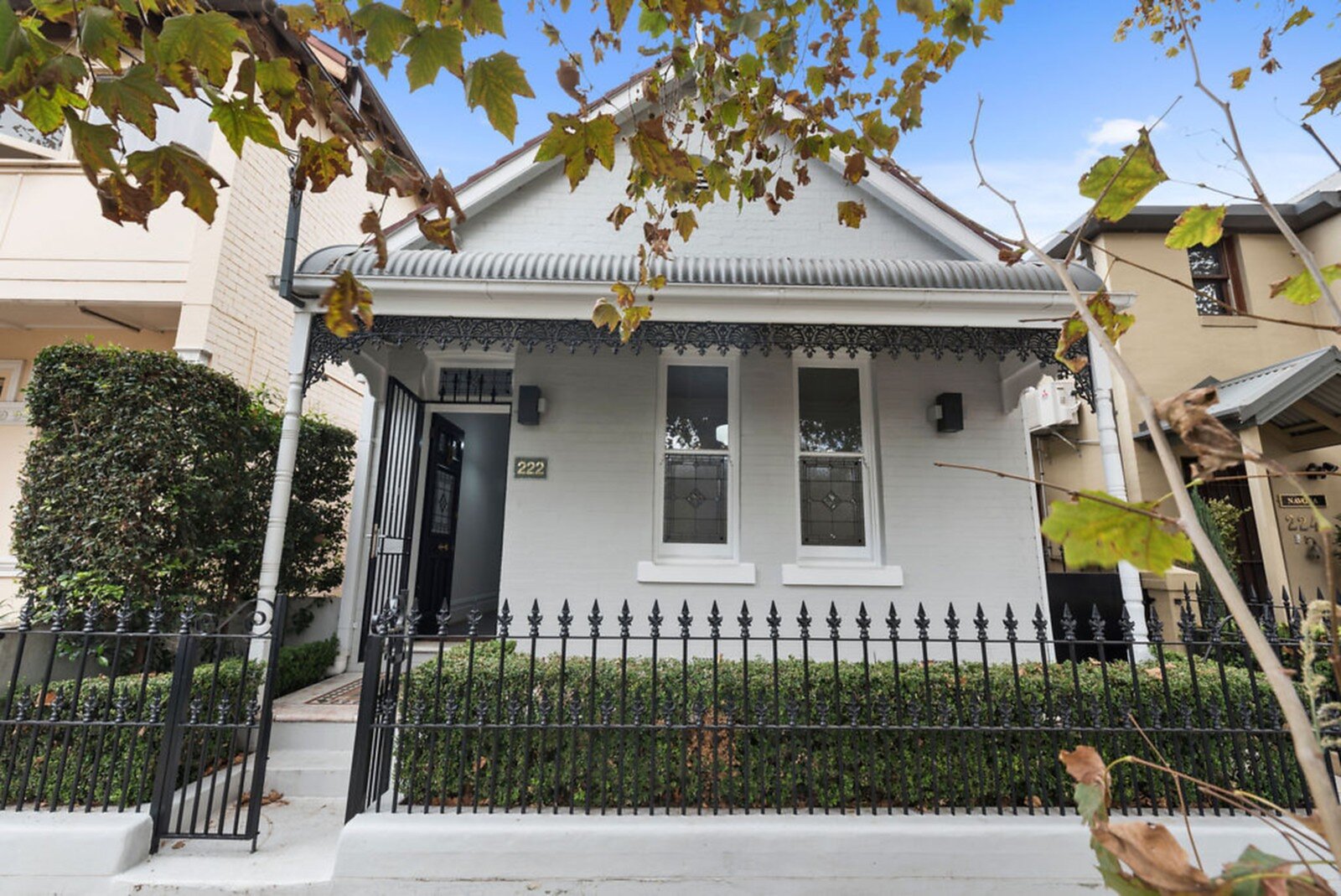 222 Trafalgar Street, Annandale - Thumbnail 5