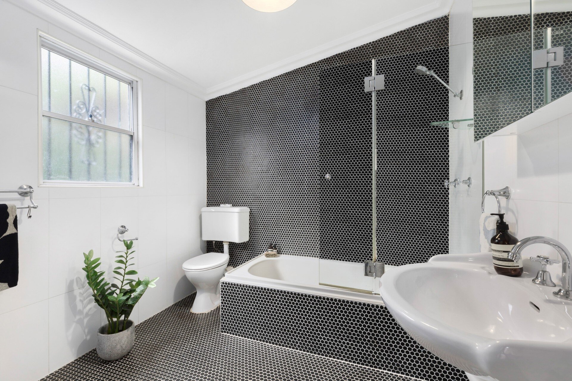 142 Albion Street, Annandale - Thumbnail 6