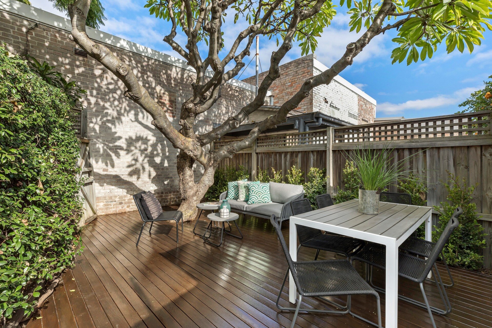 142 Albion Street, Annandale - Thumbnail 3