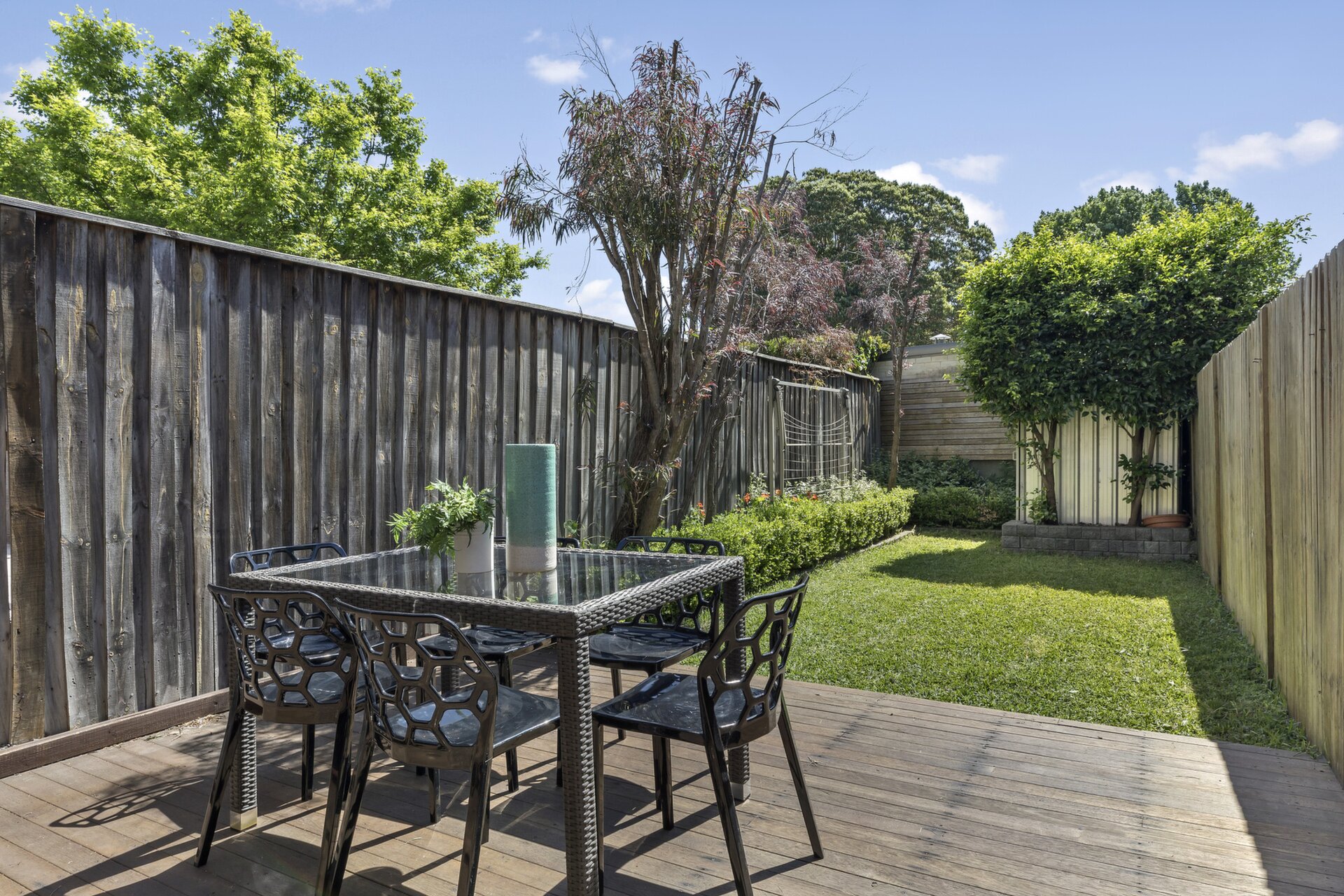 10 Young Street, Annandale - Thumbnail 2