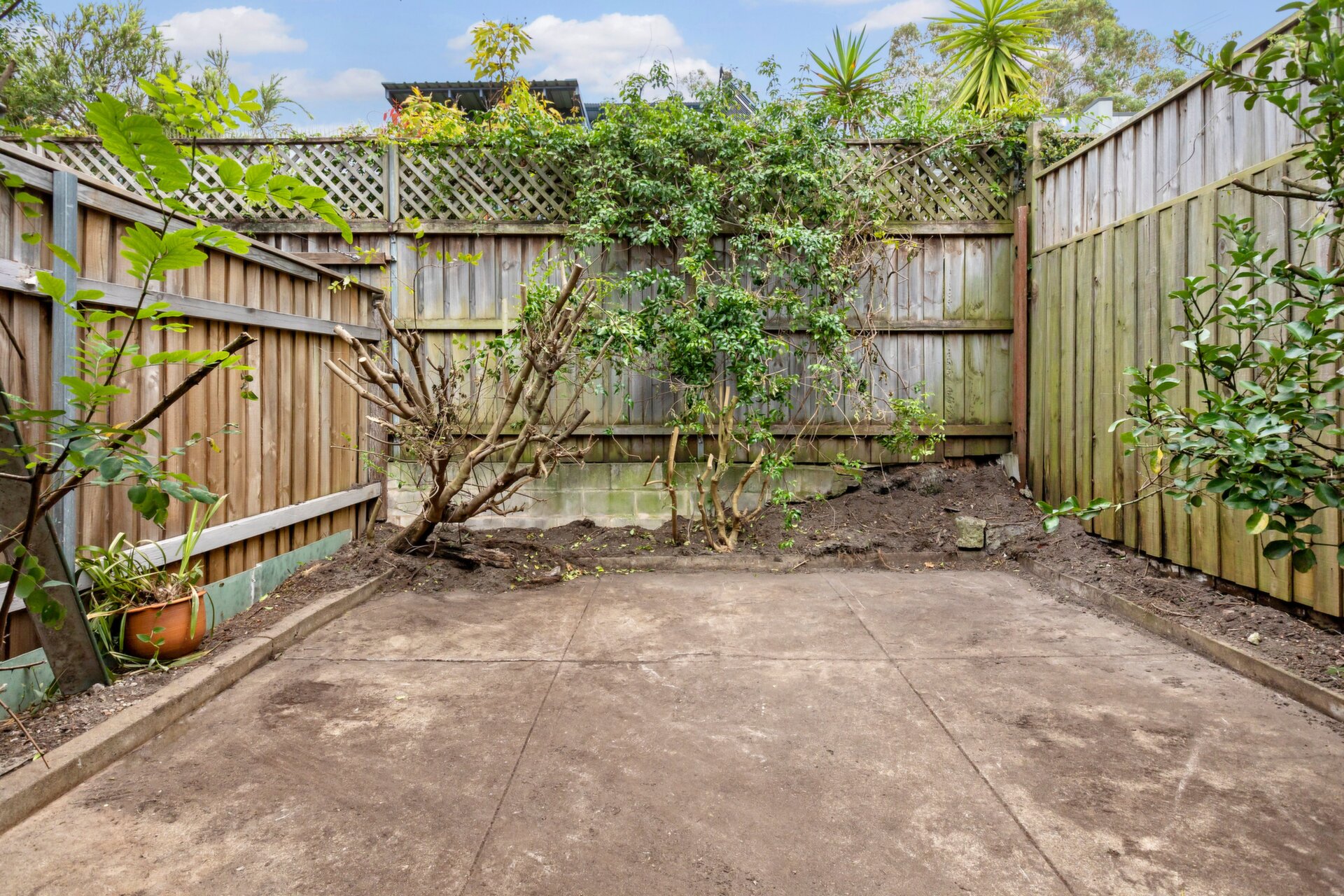 152A Trafalgar Street, Annandale - Thumbnail 7