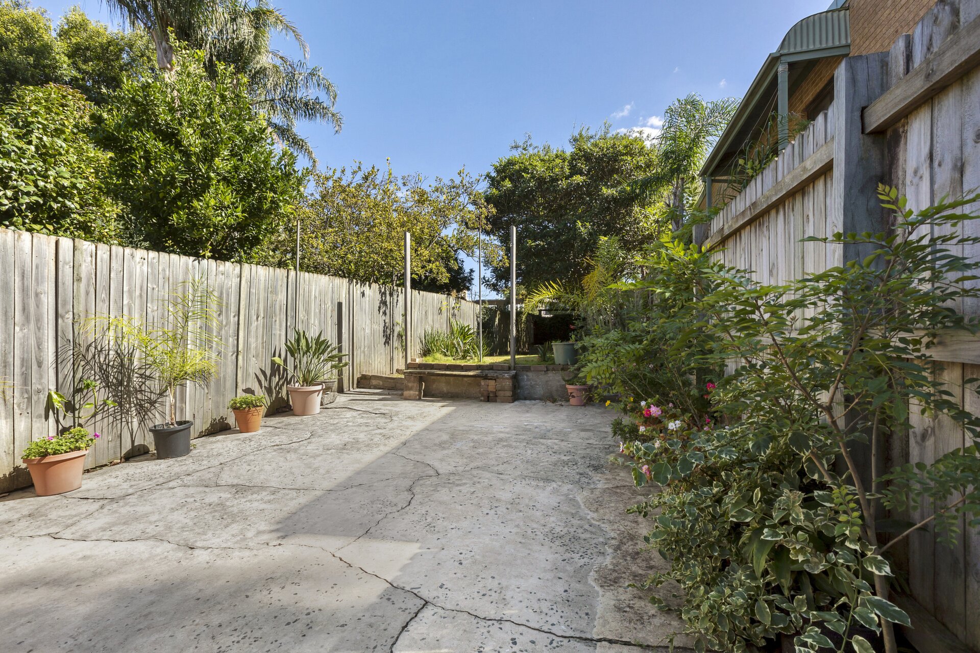 30 Nelson Street, Annandale - Thumbnail 3
