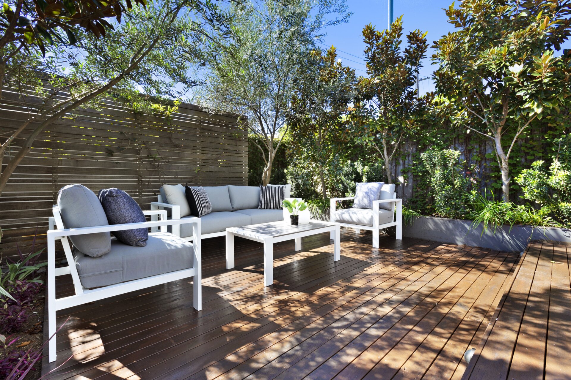 253 Lilyfield Road, Lilyfield - Thumbnail 6