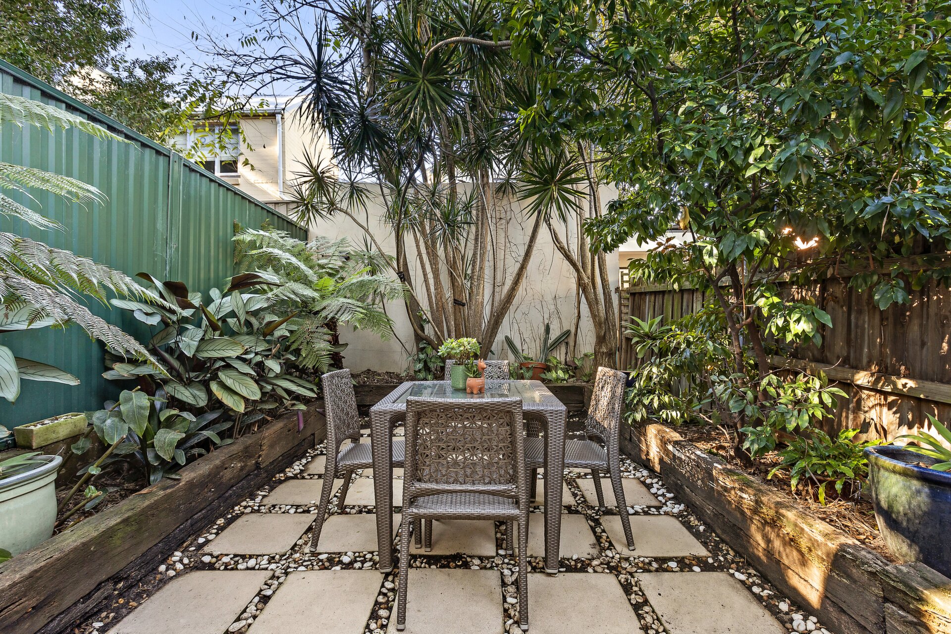 207 Catherine Street, Leichhardt - Thumbnail 4