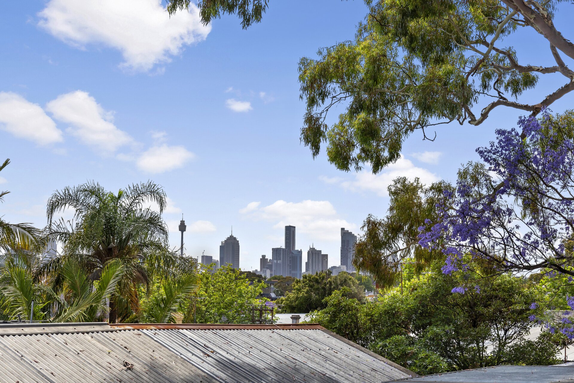 23 Wells Street, Annandale - Thumbnail 7