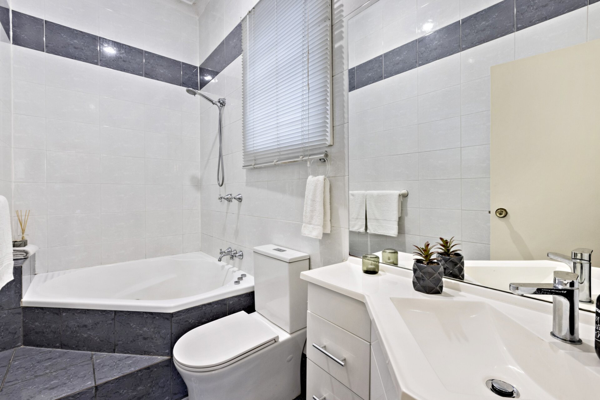 28 Gladstone Street, Lilyfield - Thumbnail 8