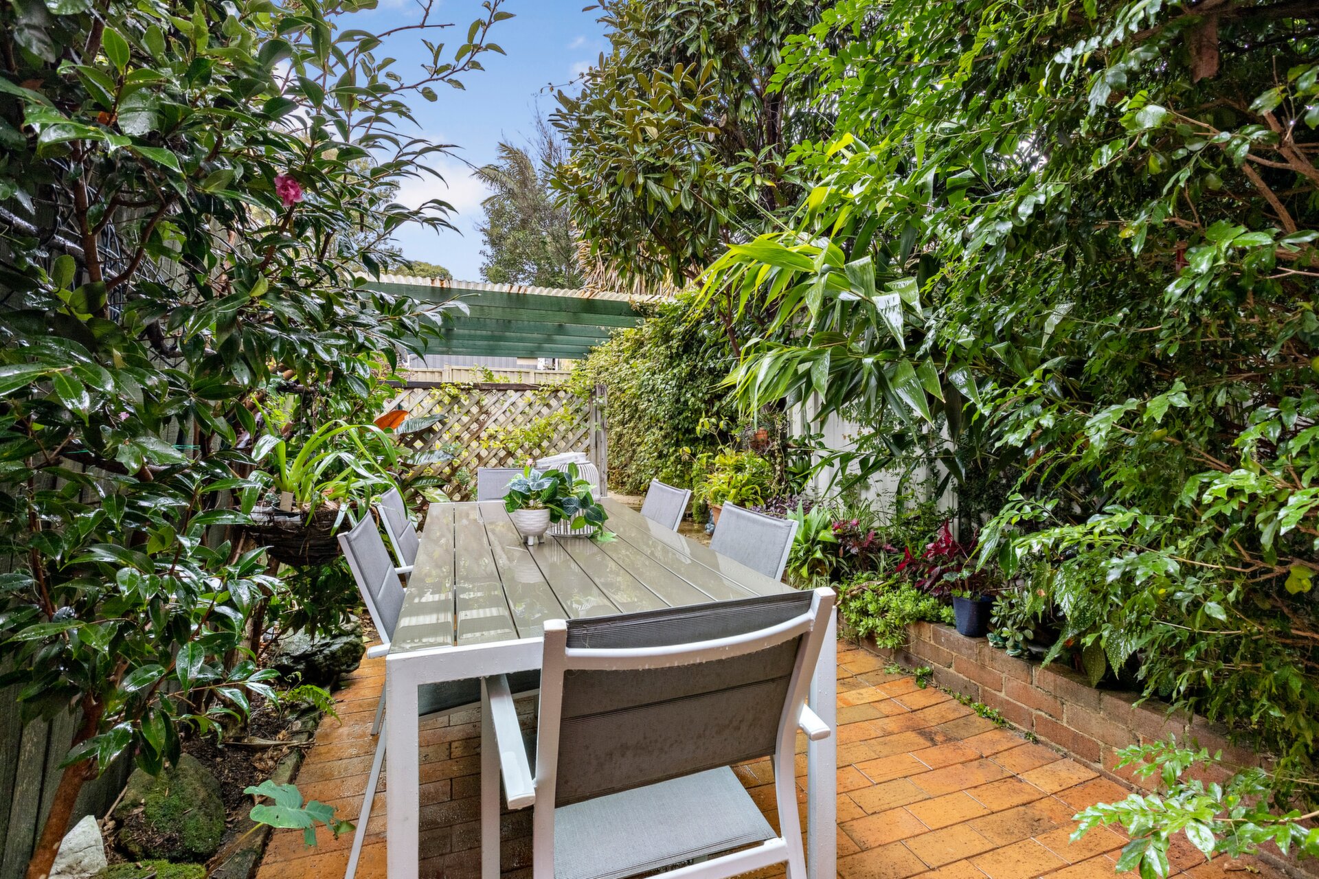 175A Young Street, Annandale - Thumbnail 4