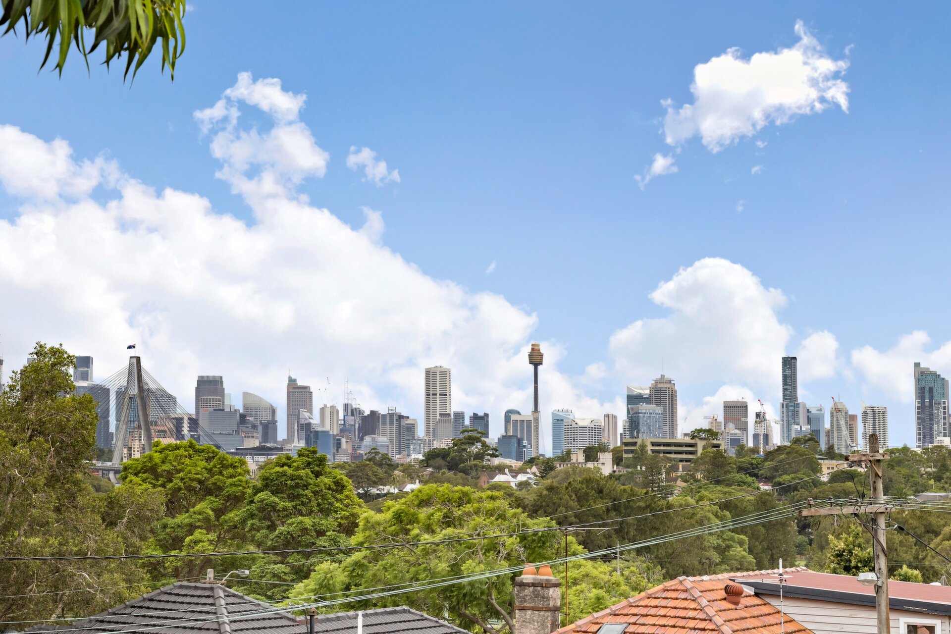 6 Weynton Street, Annandale - Thumbnail 3