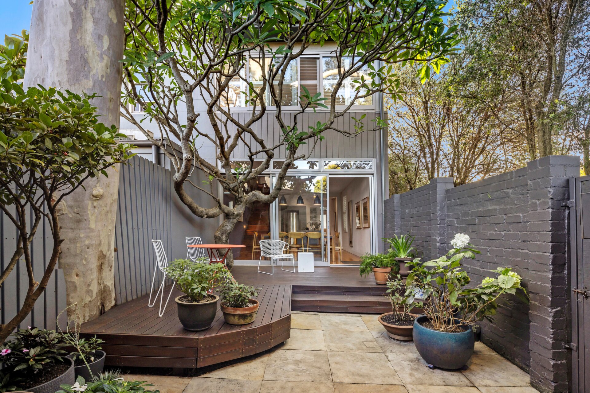 55 Trafalgar Street, Annandale - Thumbnail 2