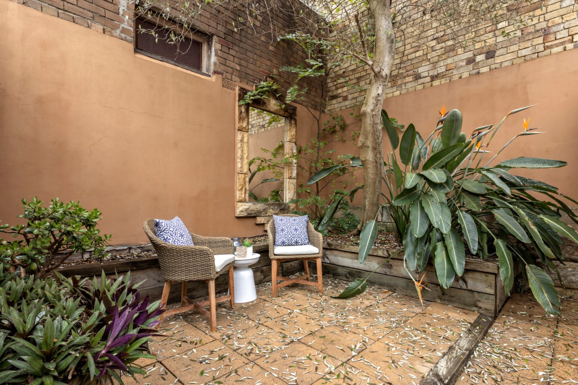 4 View Street, Annandale - Thumbnail 8