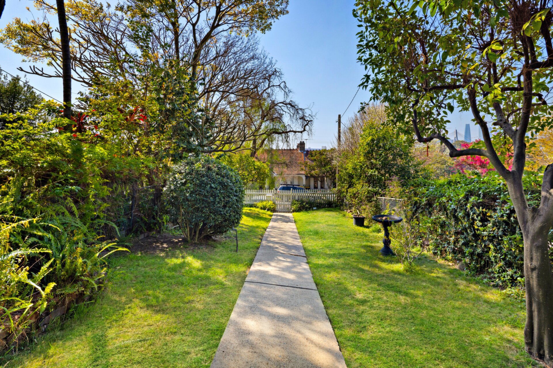 12 Rose Street, Annandale - Thumbnail 3