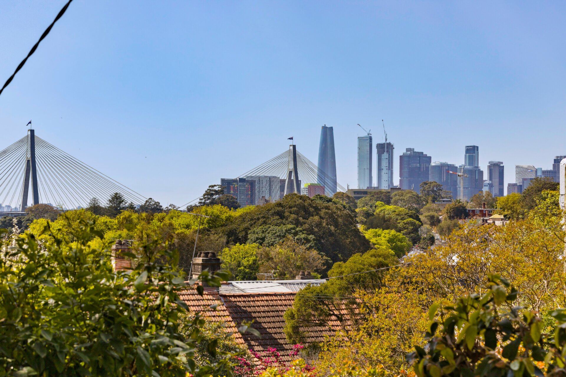 12 Rose Street, Annandale - Thumbnail 2