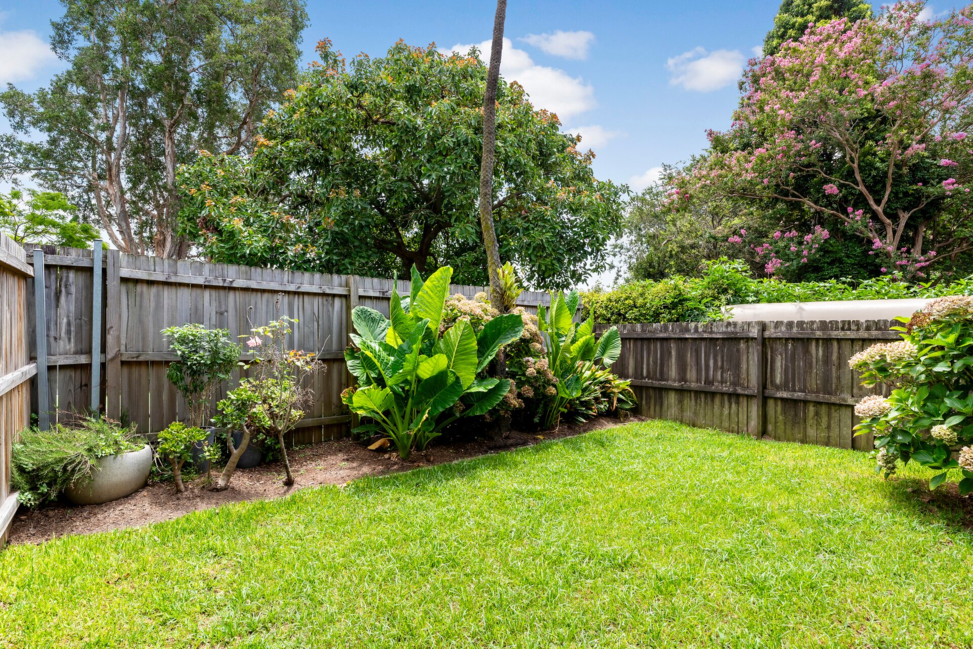 92 Annandale Street, Annandale - Thumbnail 2