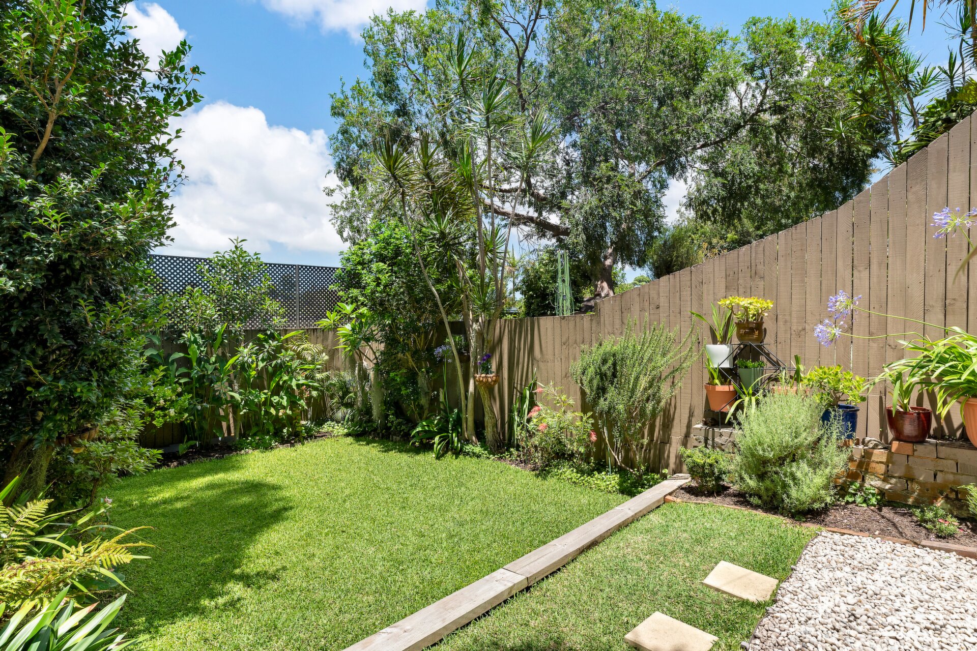 11 Edna Street, Lilyfield - Thumbnail 2