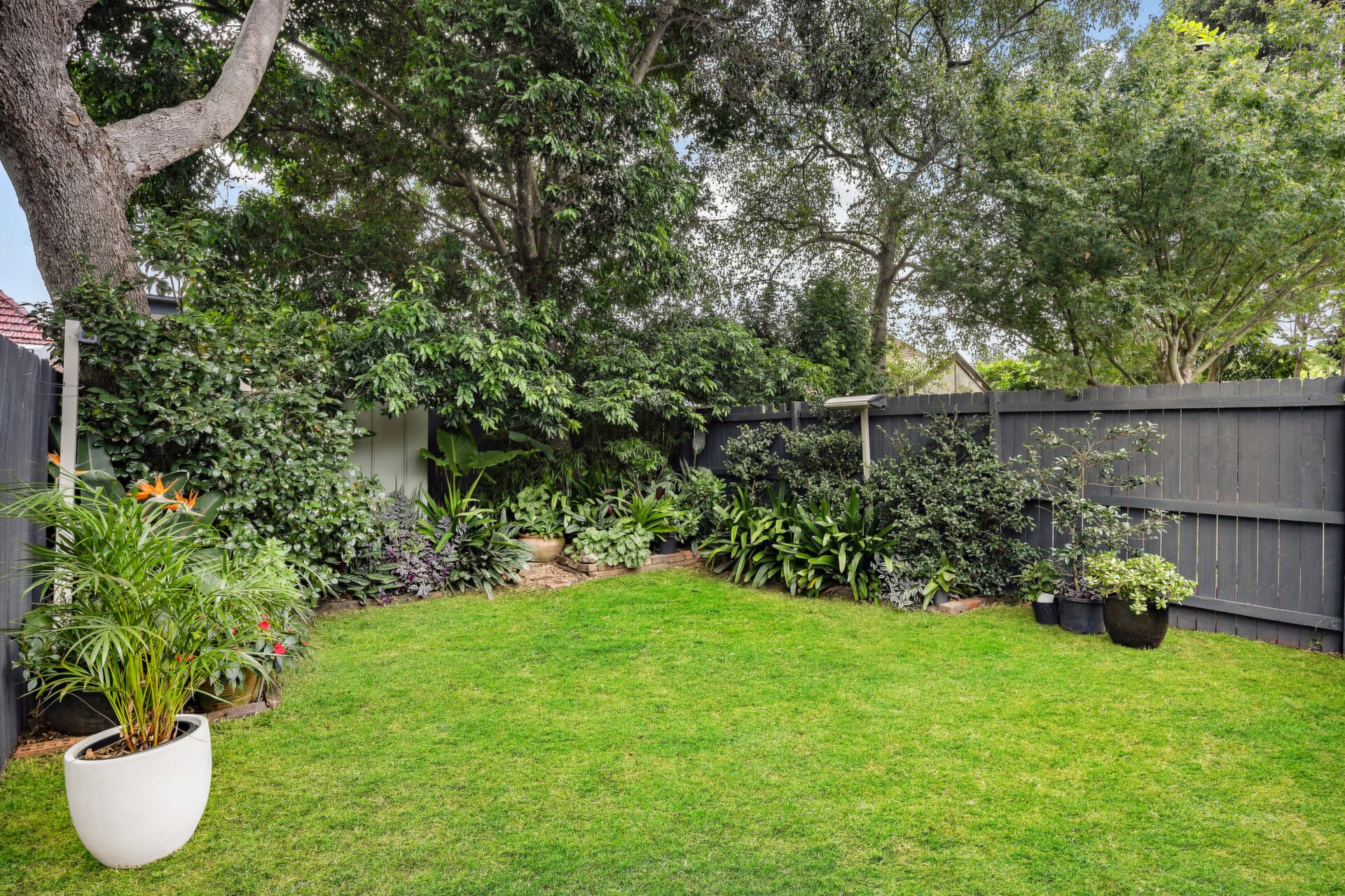 27 Stanley Street, Leichhardt - Thumbnail 2