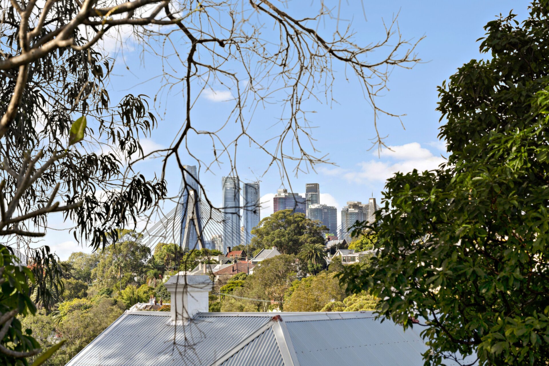 43 Starling Street, Lilyfield - Thumbnail 2