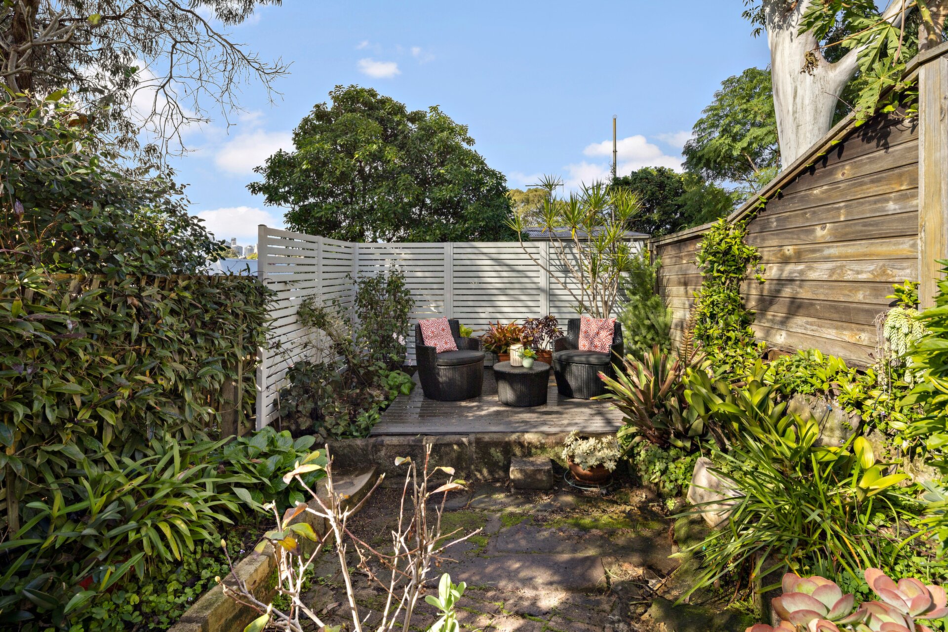 43 Starling Street, Lilyfield - Thumbnail 8