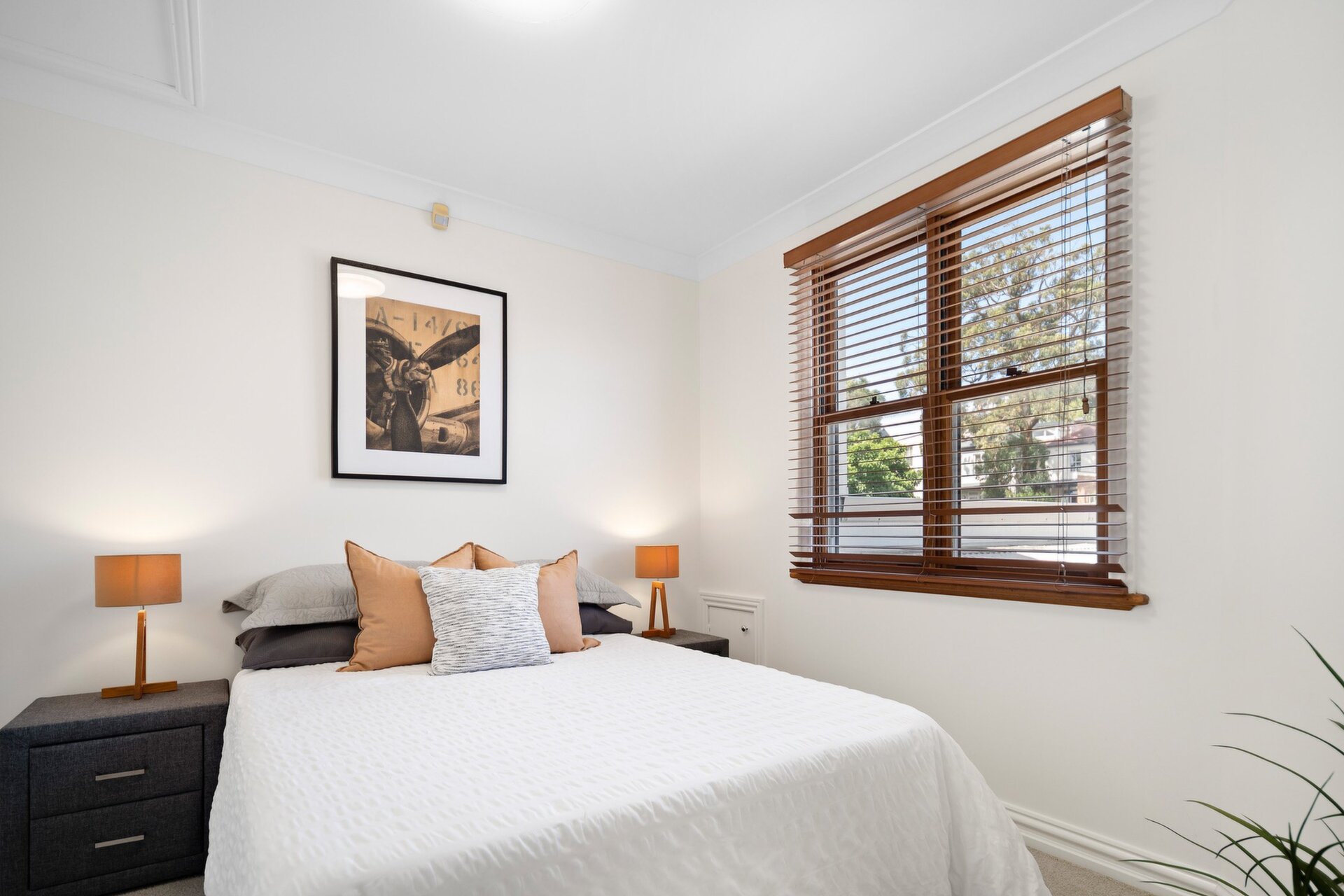 17 Young Street, Annandale - Thumbnail 7