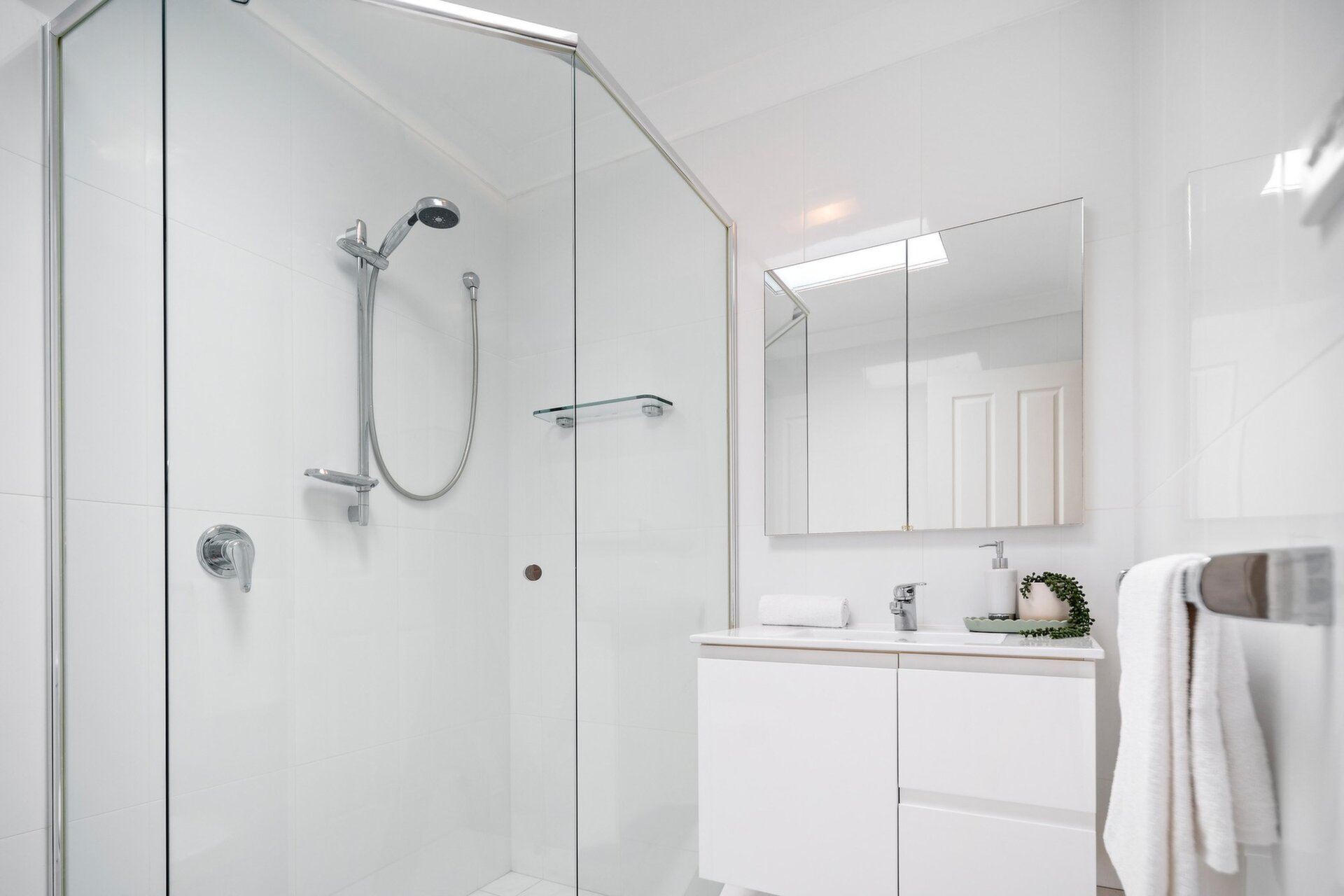 17 Young Street, Annandale - Thumbnail 6