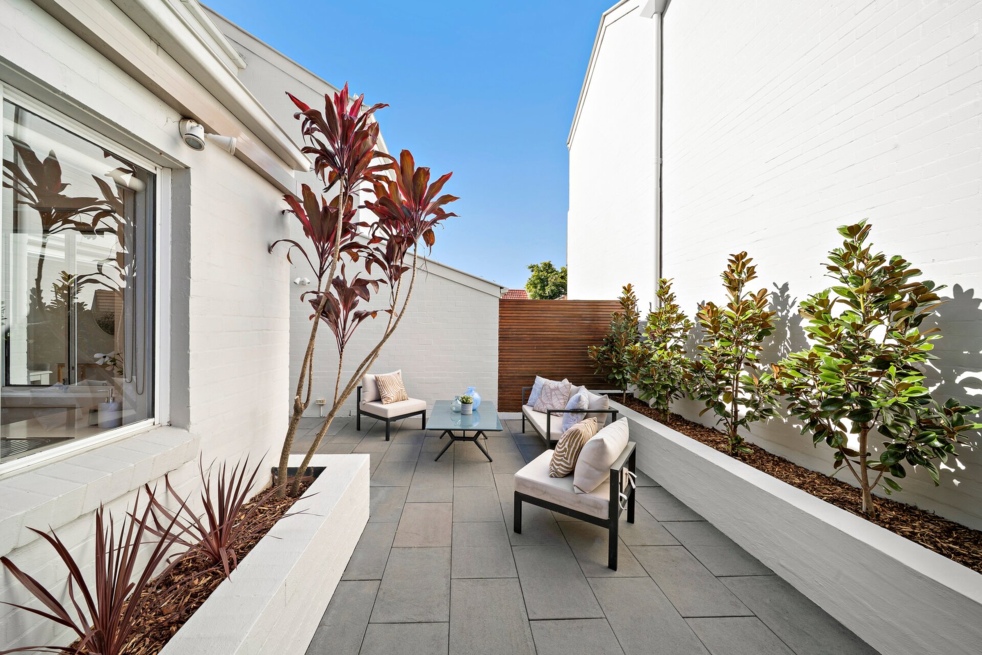 45 Wells Street, Annandale - Thumbnail 8