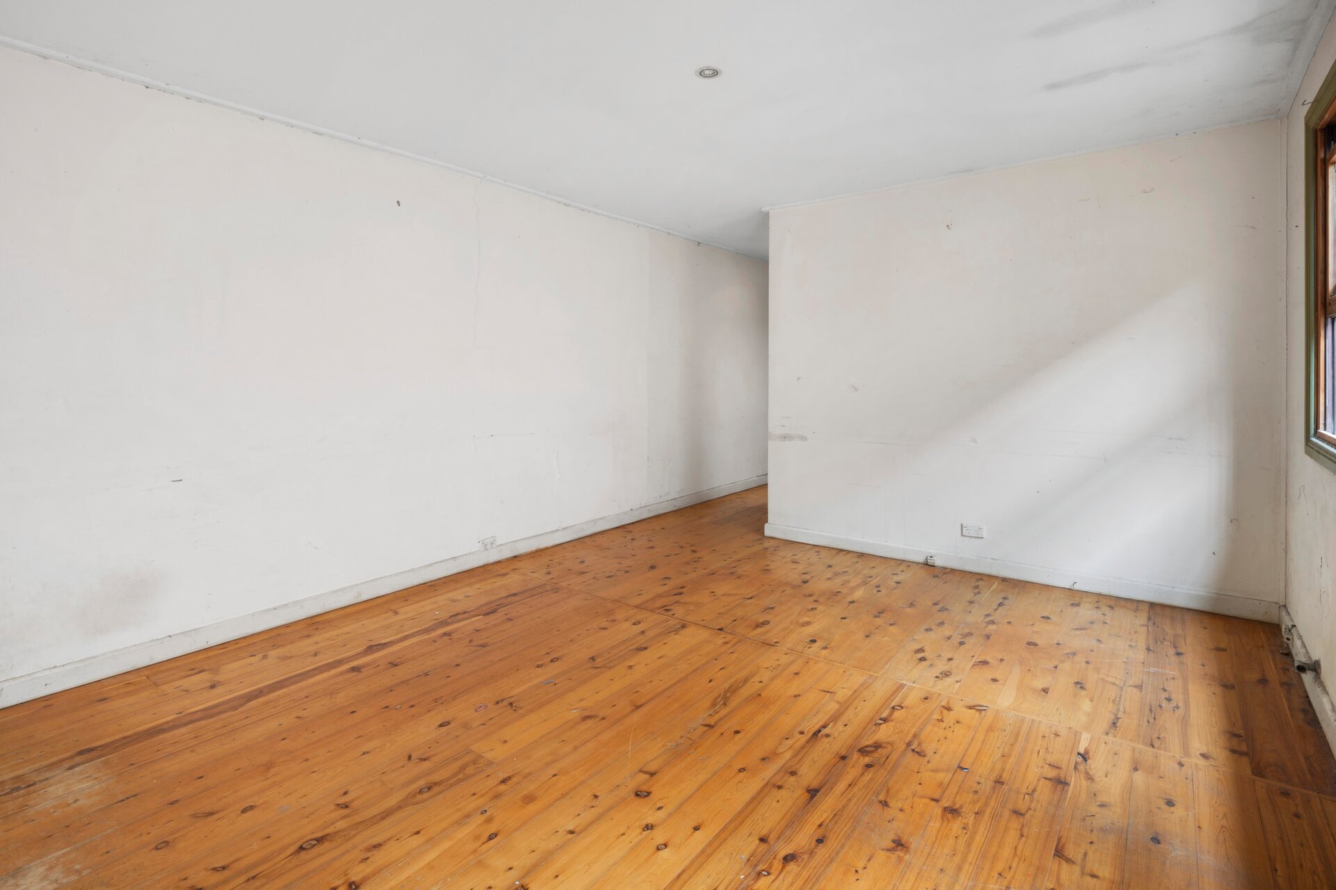 182 Nelson Street, Annandale - Thumbnail 4