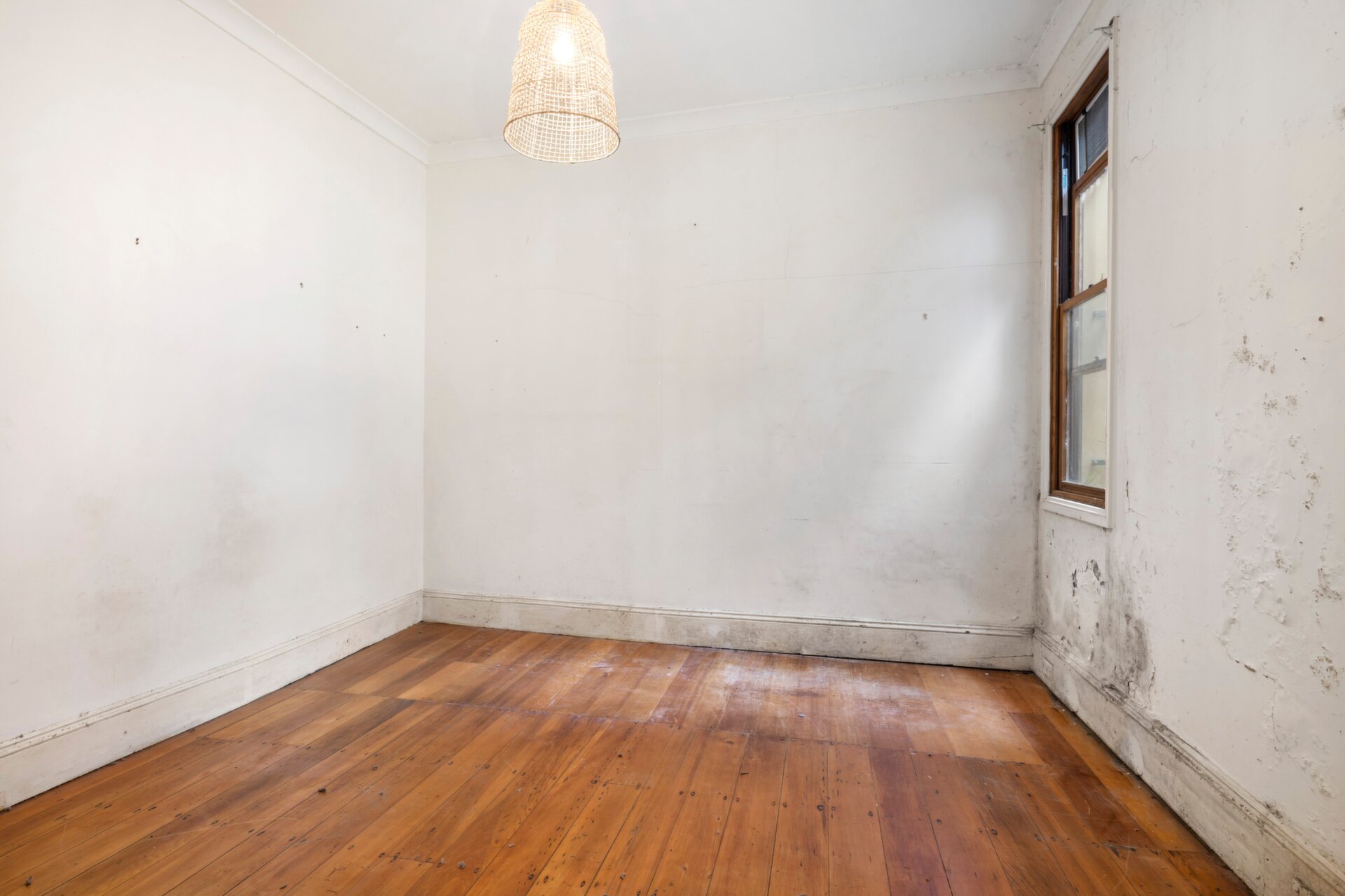 182 Nelson Street, Annandale - Thumbnail 7
